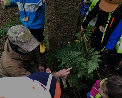 Waldvermittler im Einsatz